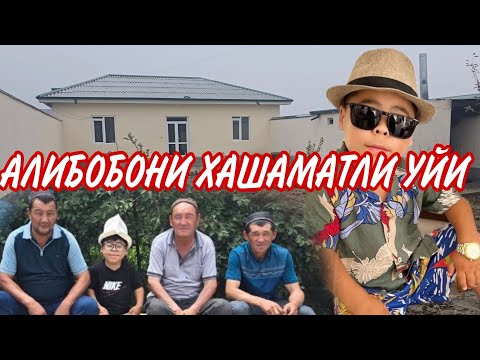 Видео: АЛИБОБОНИ УЙИДАМИЗ ЮРАККА ЙЕТИБ БОРАДИГАН ШЕРЛАРИ..