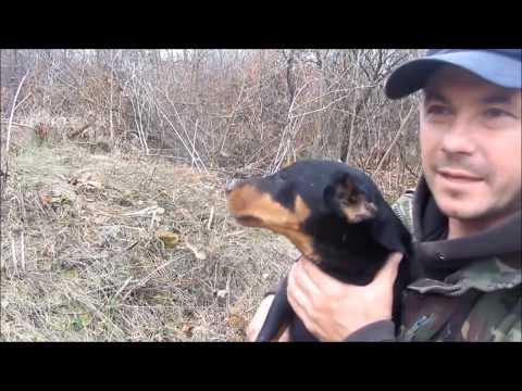 Видео: Норная охота.Фильм 3- Тягачи!