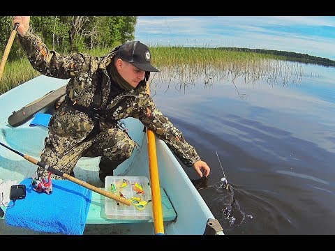 Видео: Рыбалка на озере СЕЛИГЕР! Часть Первая! Приезд, разведка на СПИННИНГ -С Рыбалкой на Ты! выпуск№44.