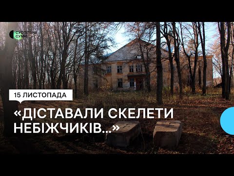 Видео: Науковці знайшли та повернули старовинні надгробки на зруйноване за радянських часів кладовище