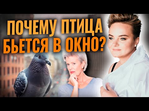 Видео: Как обезвредить врага с помощью соли  и как понять весточку с того света?