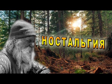 Видео: /Из жизни охотника/Таёжная История/