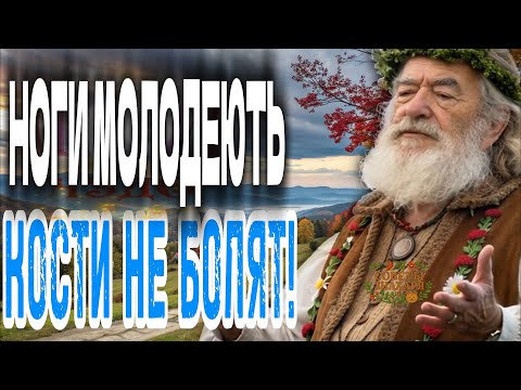 Видео: Чай для костей, чтобы ноги перестали болеть, кушать утром и вернеться здоровье радости