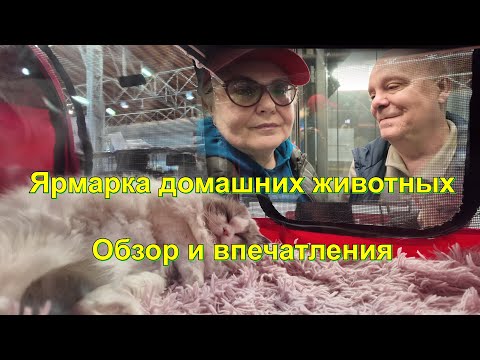 Видео: Самая масштабная ярмарка домашних животных. Какое то двоякое впечатление. Австрия. Вена.