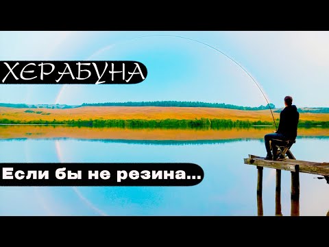 Видео: ОНИ воруют удочки! Тесто против прикормки.