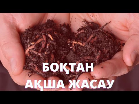 Видео: 💸Байлық жерде жатыр / Қалай білмегенбіз?!