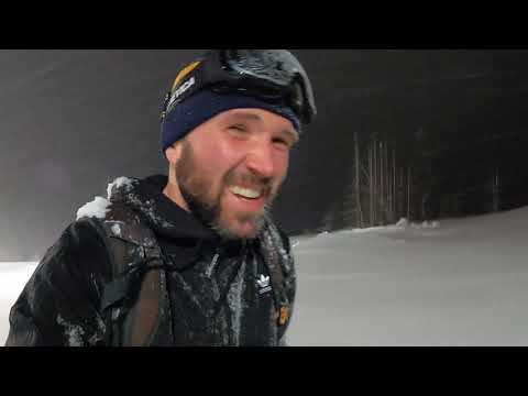 Видео: Пантене на Лалето.