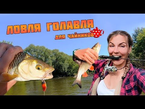 Видео: КАК ЛОВИТЬ ГОЛАВЛЯ С НУЛЯ?! Реальная история начинающей спиннингистки