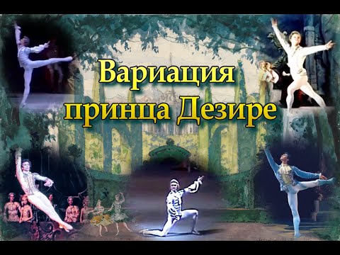 Видео: Чайковский П. И. «Спящая красавица». Вариация принца из III акта балета