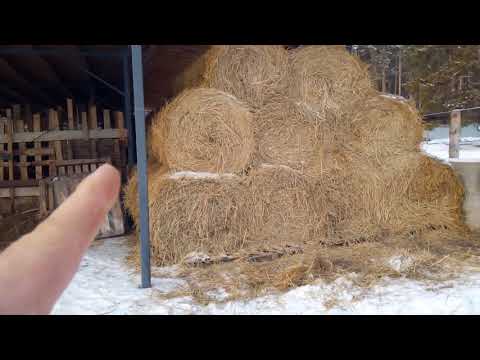 Видео: Какой рулон лучше ПРФ или Z562?   Возим Сено, сенаж