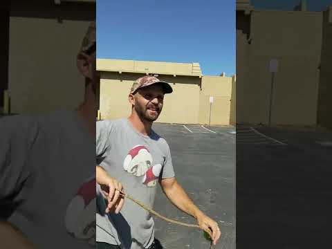 Видео: Учебное пособие по гребку — увеличьте силу гребка, чтобы увеличить скорость.