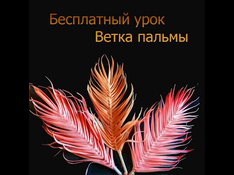 Видео: пальма