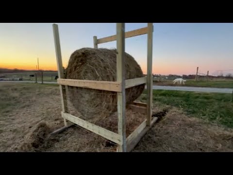 Видео: Самодельная кормушка для сена для крупного рогатого скота, коз, лошадей и другого скота