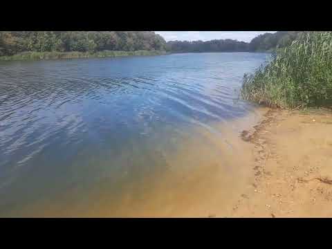 Видео: 29 августа 2025 г.