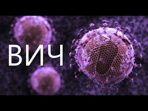Видео: Природа ВИЧ - инфекции. Интервью с генетиком-вирусологом МГУ
