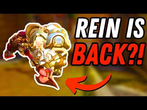 Видео: Как РЕЙНХАРДТ разбил профессионалов...