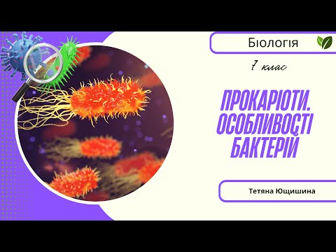 Видео: Урок 73,74. Прокаріоти. Особливості бактерій. 7 клас. НУШ