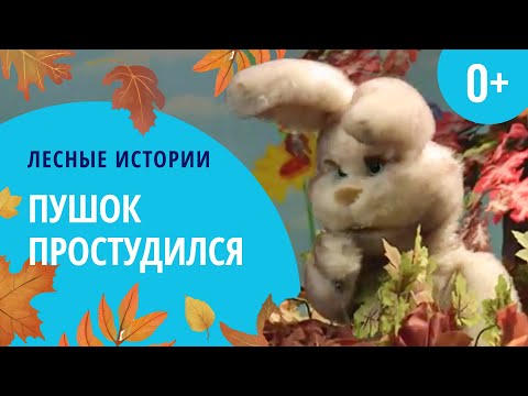 Видео: Пушок простудился | Лесные истории (0+)