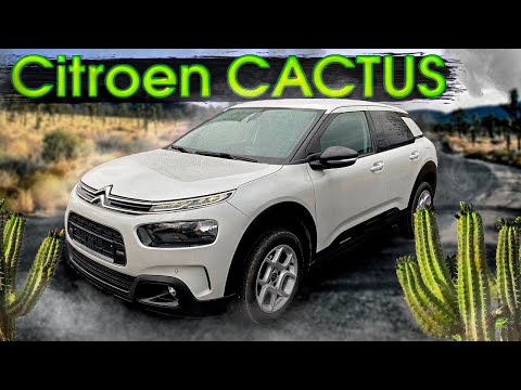 Видео: Кто он? Растение или автомобиль? Citroen С4 Cactus. Псков.