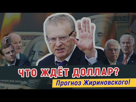 Видео: Что ждет доллар? Прогноз Жириновского