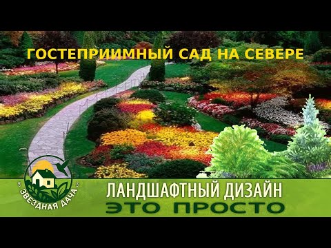 Видео: ГОСТЕПРИИМНЫЙ САД НА СЕВЕРЕ/ Ландшафтный дизайн - это просто/ Звёздная Дача!