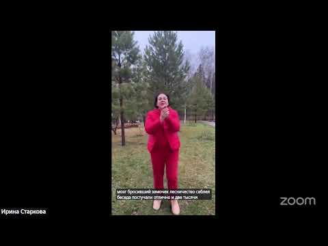 Видео: Ци-зарядка Каждый день