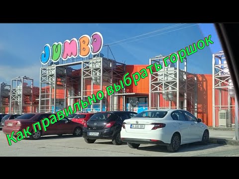 Видео: Купил земли в Греции или как я стал землевладельцем.