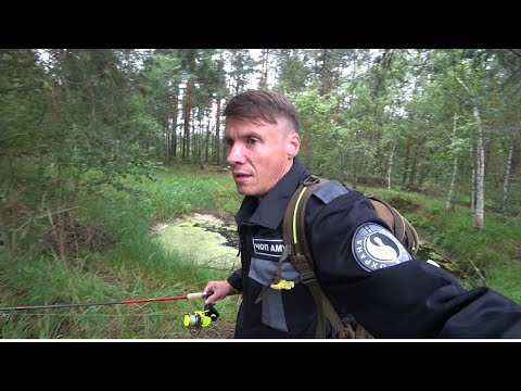 Видео: Давление 210 Пульс 30 Я в диком лесу один!