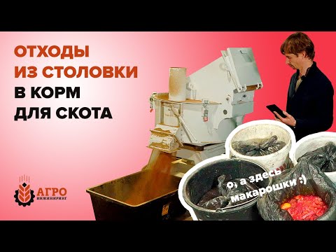 Видео: Переработка пищевых отходов в корма на измельчителе отходов.