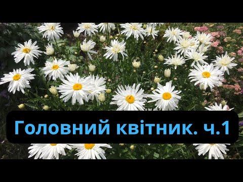 Видео: Головний квітник.ч.1