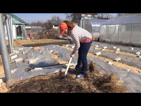 Видео: Верный помощник плоскорез Фокина