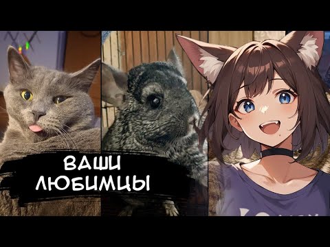 Видео: КИЛЯ СМОТРИТ ФОТОГРАФИИ ВАШИХ ЖИВОТНЫХ ► [VTuber] реакция kindlynx