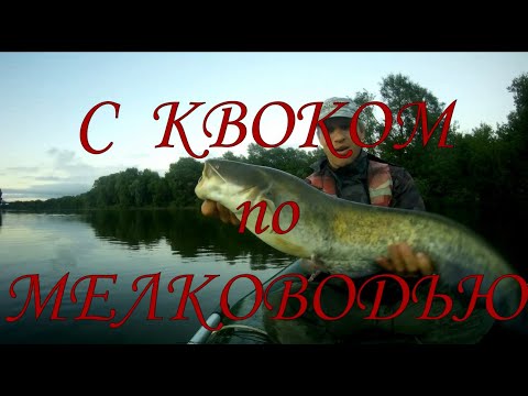 Видео: С КВОКОМ ПО МЕЛКОВОДЬЮ \ Ловля сома на квок \ #рыбалка #квок #сом #сомнаквок