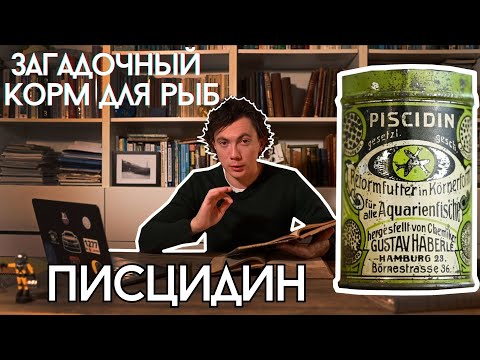Видео: Писцидин — тайна секретного корма для аквариумных рыбок