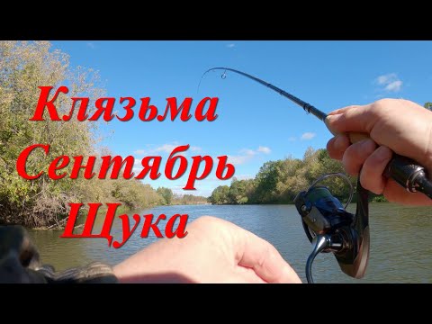 Видео: Клязьма. Рыбалка на спиннинг. Тест CF Arion ASR762LS 3-12гр