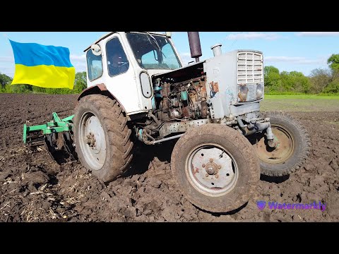 Видео: ЮМЗ-6 на диби! Диски забиває, трактор дохне, отаке тяжке дискування з АГ 2.1