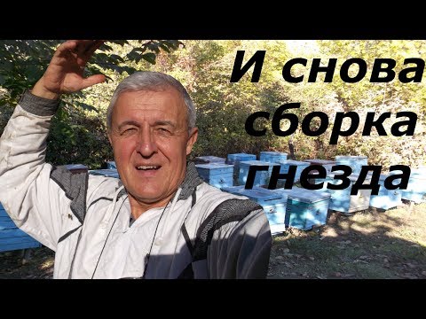 Видео: И снова собираем гнезда в ульях лежаках на зиму.