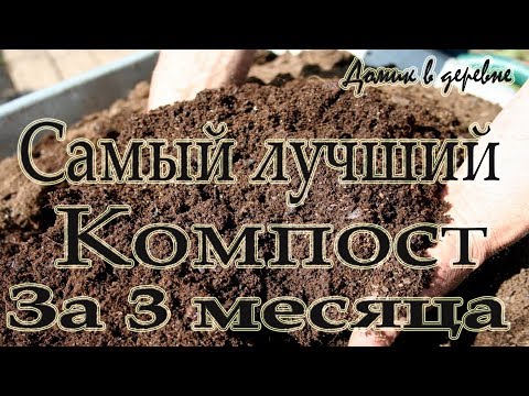 Видео: Самый лучший компост! Компост за три месяца! Самый скороспелый компост!