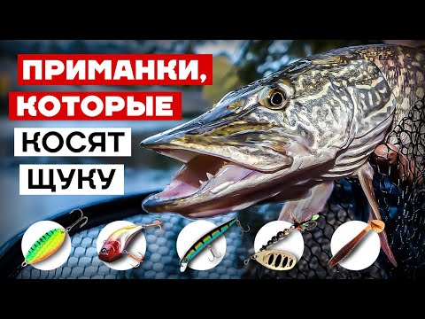 Видео: КАК ВЫБРАТЬ ПРИМАНКУ - Блесна, Воблер, Раттлин, Вертушка или Силикон? НА ЧТО ЛОВИТЬ ЩУКУ ОСЕНЬЮ?