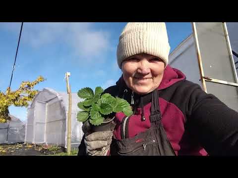 Видео: Знімаю останні стакани
