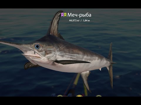 Видео: Русская рыбалка 4 !!!