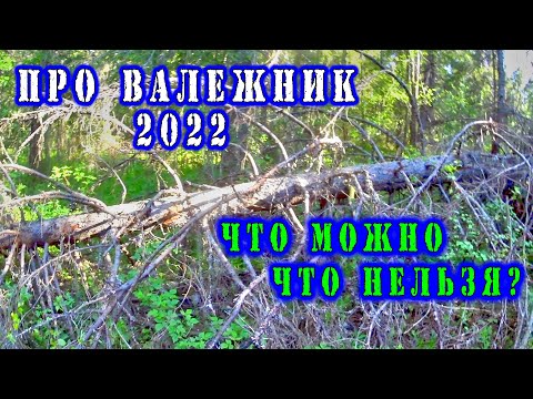 Видео: ПРИ КАКИХ УСЛОВИЯХ МОЖНО СОБИРАТЬ ВАЛЕЖНИК В 2022 году?