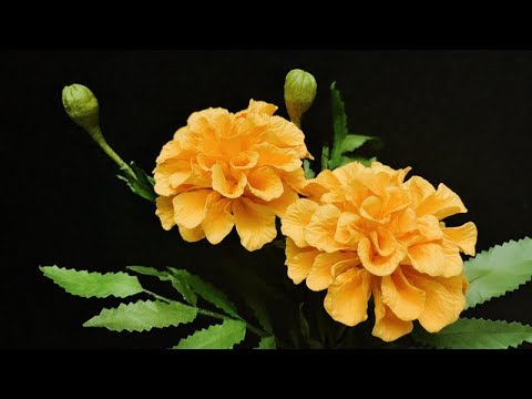 Видео: ABC TV | Как сделать бумажный цветок для бархатца | Цветочные гравюры - учебник по ремеслу