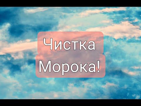 Видео: ЧИСТКА МОРОКА