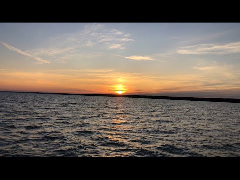 Видео: На пароме за грибами.