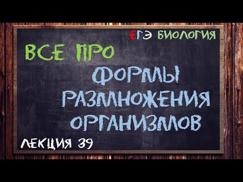Видео: Л.39 | ФОРМЫ РАЗМНОЖЕНИЯ ОРГАНИЗМОВ | ОБЩАЯ БИОЛОГИЯ ЕГЭ
