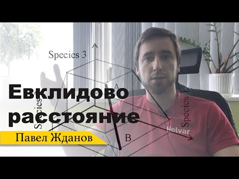 Видео: Евклидово расстояние на пальцах. Как определить расстояние между двумя точками.