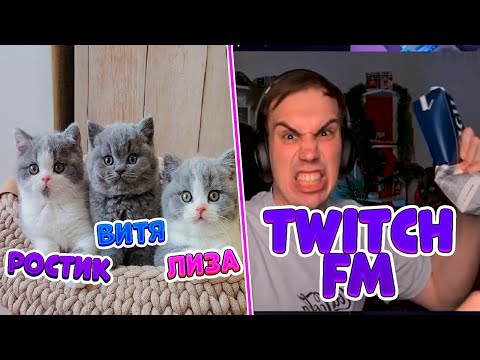 Видео: ЛИЗА, ВИТЯ И РОСТИК СМОТРЯТ TWITCH FM | iceicell, formixyouknow, rostikfacekid