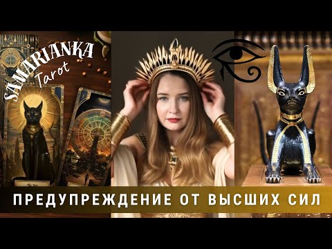Видео: ПРЕДУПРЕЖДЕНИЕ ОТ ВС #tarot #video #tarotcards 