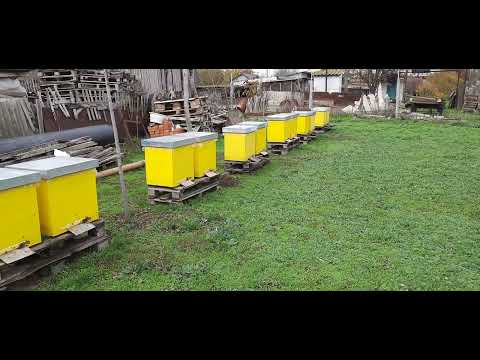 Видео: Готуємось до наступного сезону!